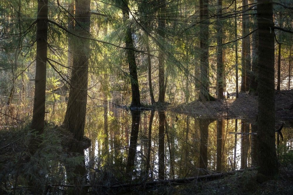 Photograph by Анна Панеева