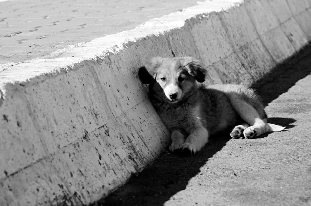 Photograph by Евгений Никонов