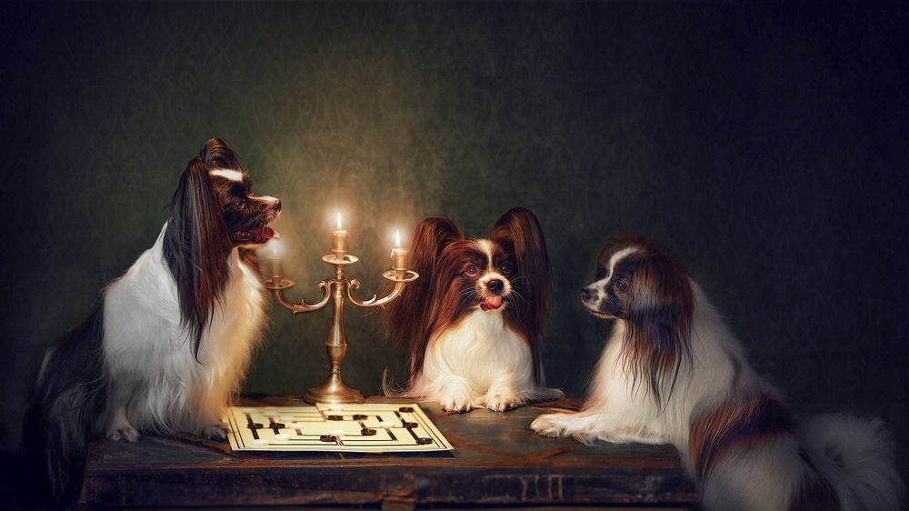 Photograph by Natalia Ricci