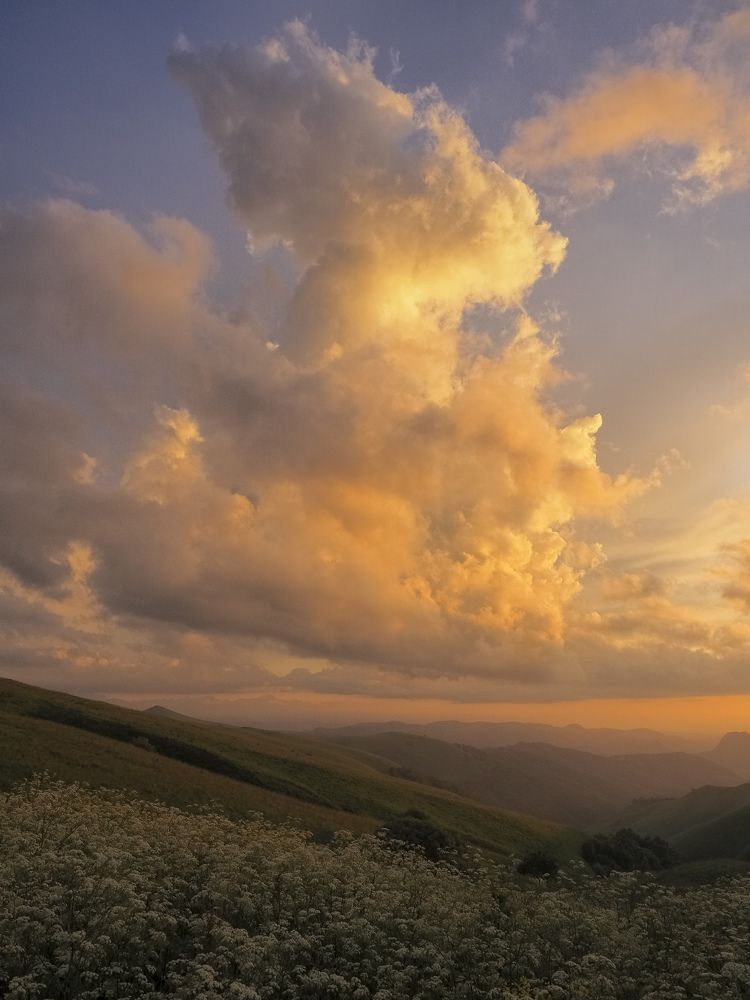 Photograph by Павел Бутко