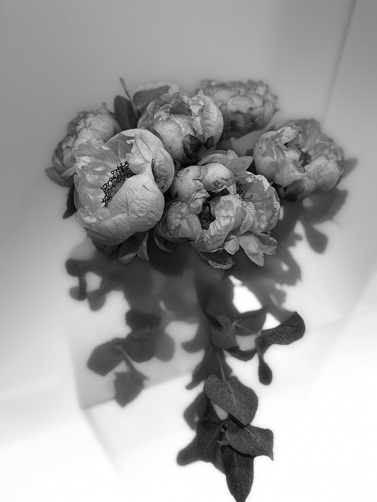 Photograph by Елена Посохина