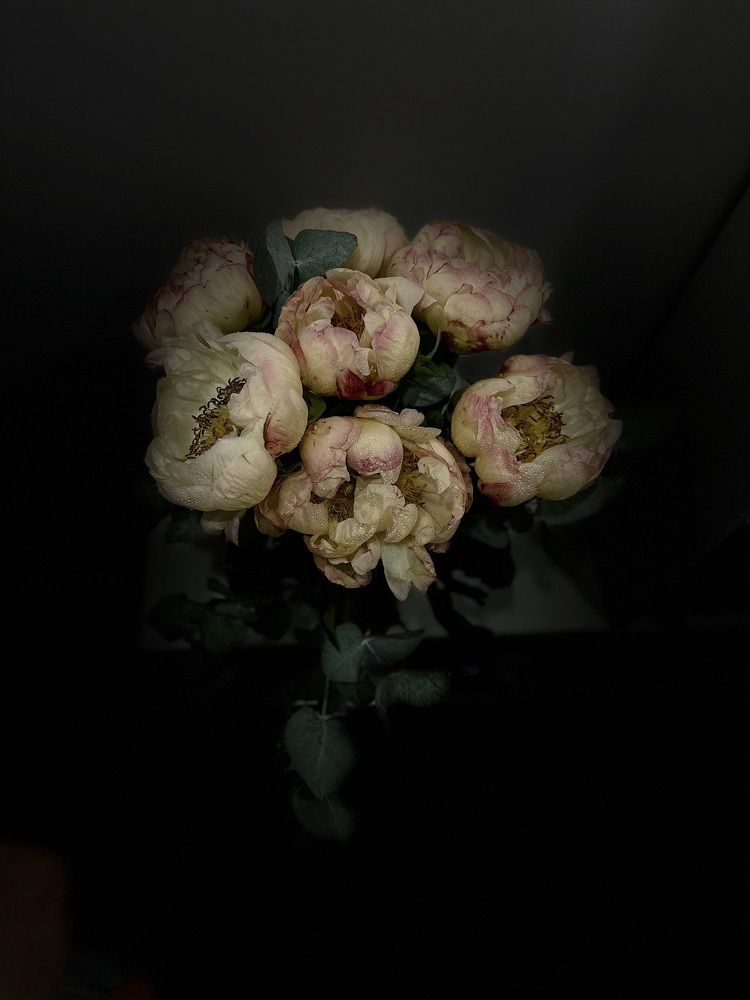 Photograph by Елена Посохина