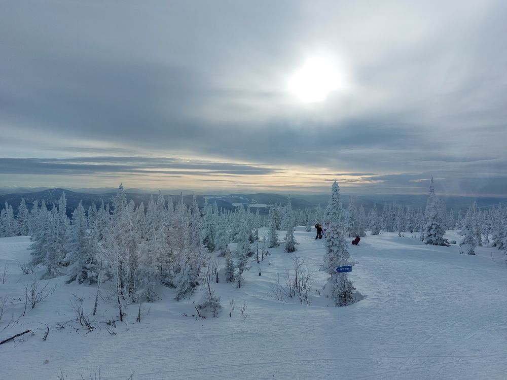 Photograph by Светлана Шиляева