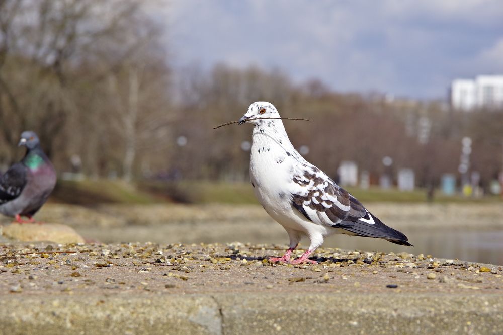 Photograph by Алексей Бородинов