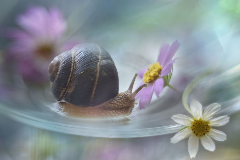 Photograph by Ирина Шипунова