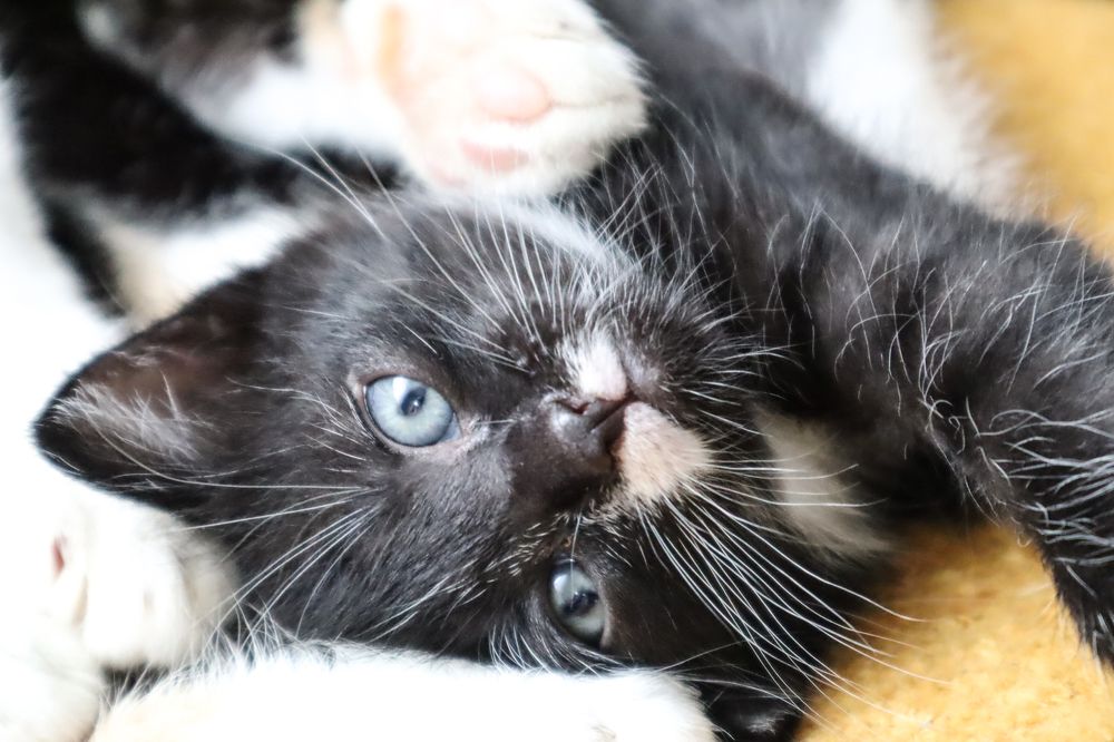 Photograph by Мария Самолевич