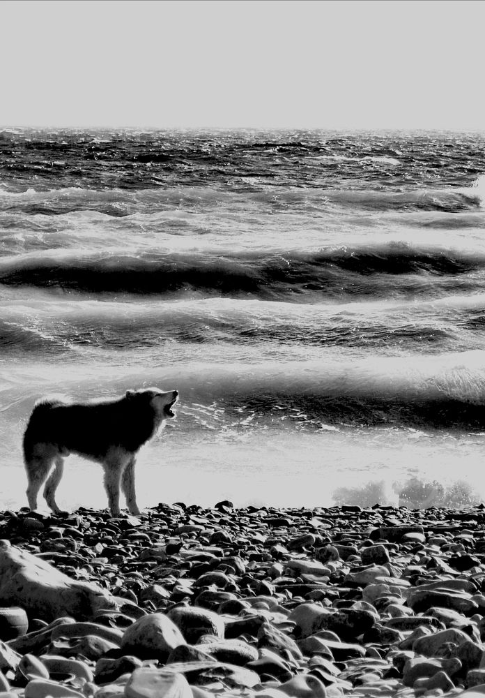 Photograph by Ирина Тихая