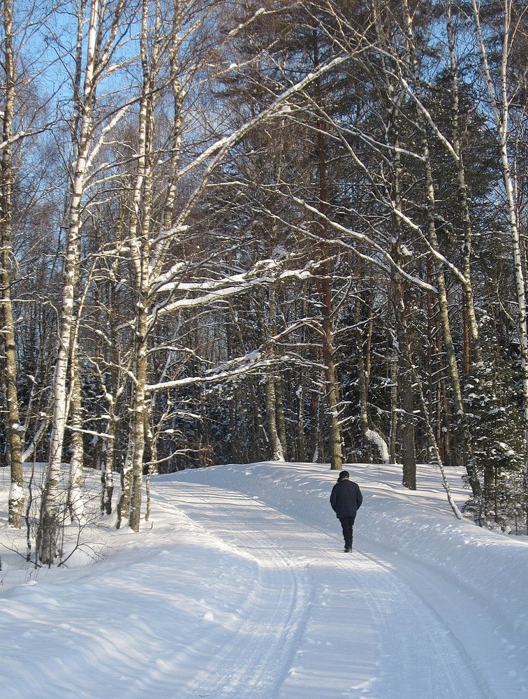 Photograph by Михаил Попов