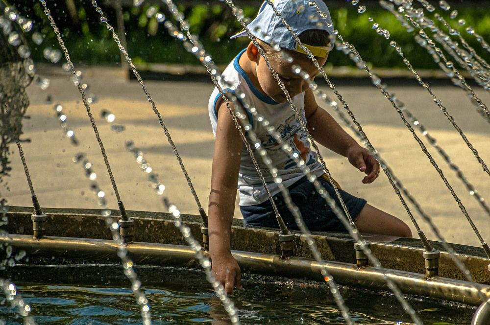 Photograph by Vladimir  Komarov