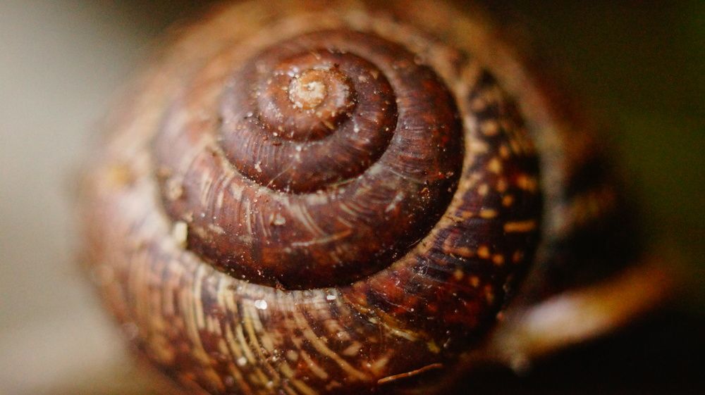 Photograph by Лиза Малыгина