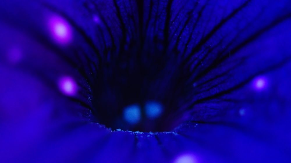 Photograph by Лиза Малыгина