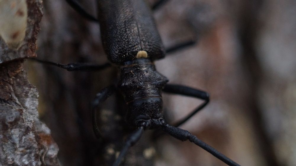 Photograph by Лиза Малыгина