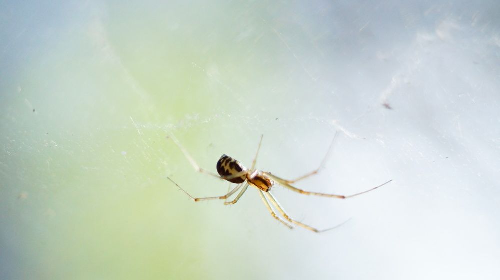 Photograph by Лиза Малыгина