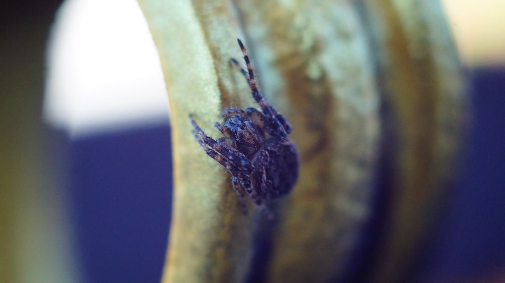 Photograph by Лиза Малыгина