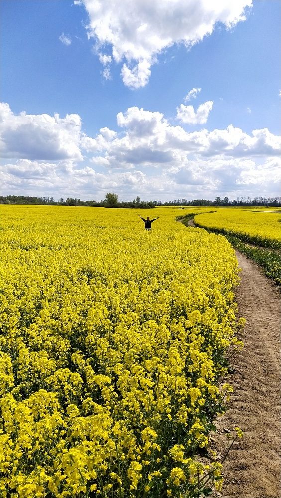 Photograph by Елизавета Лай