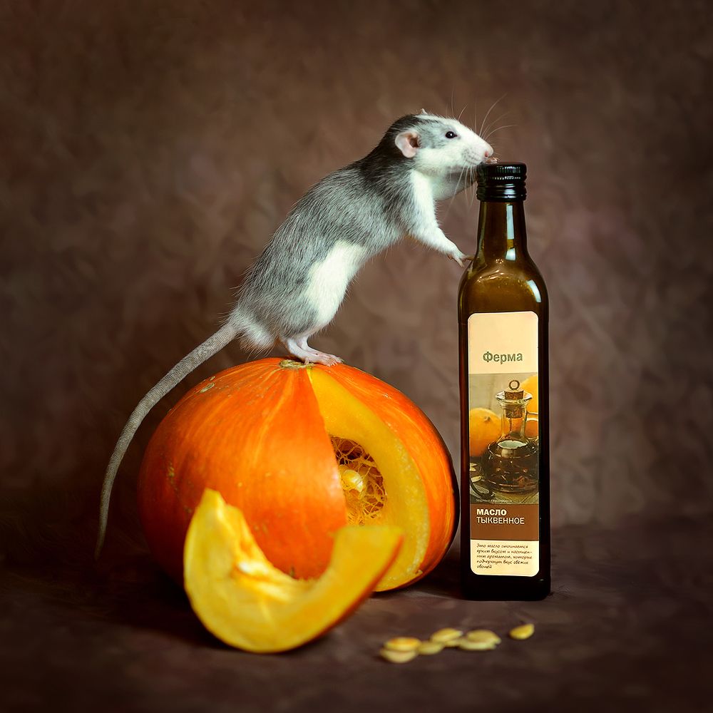 Photograph by Светлана Попова