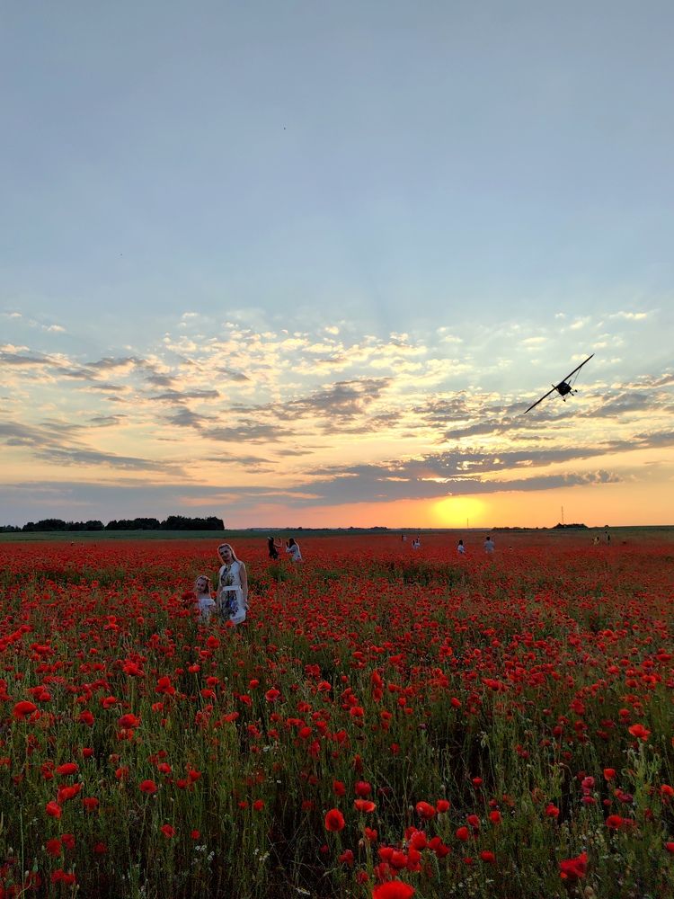 Photograph by Елизавета Лай