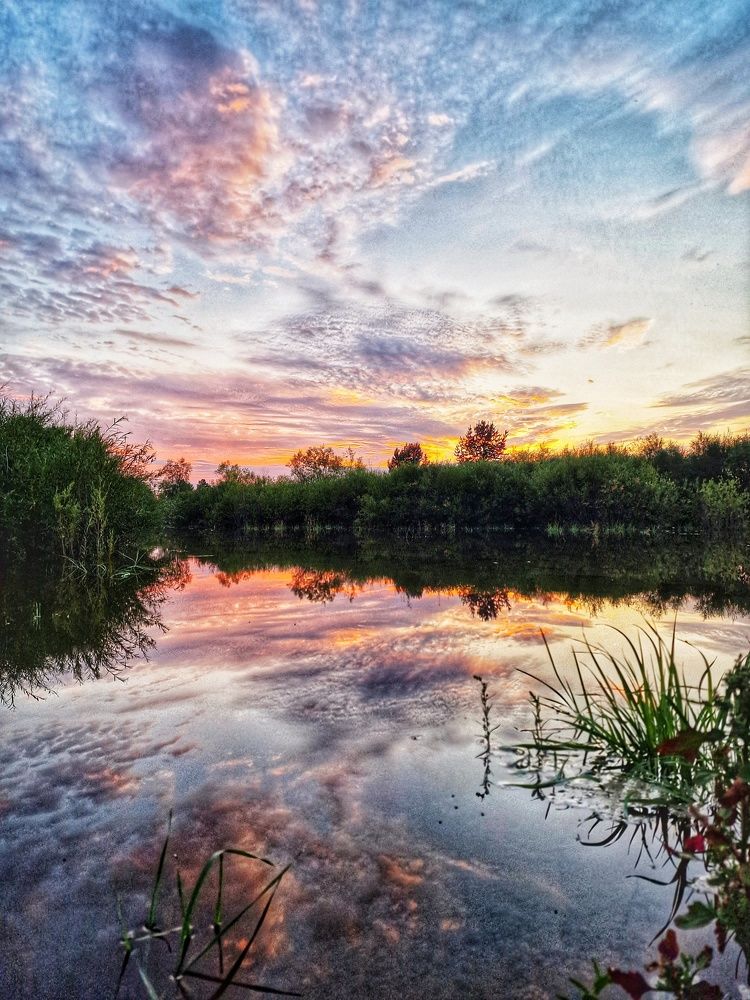 Photograph by Елена Федоткина