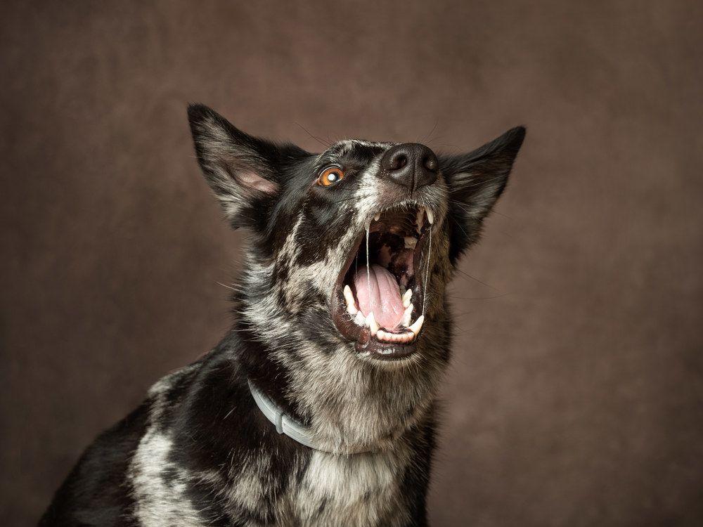 Photograph by Mònica Udina