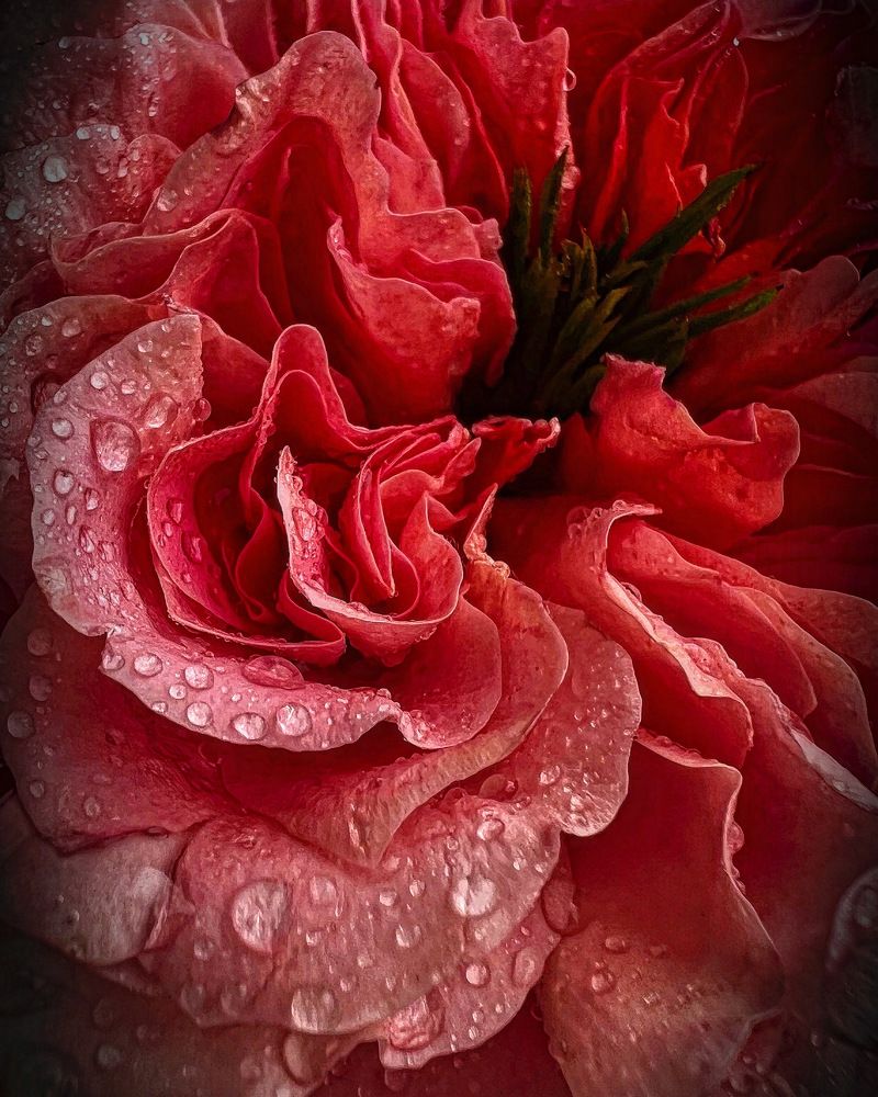 «Нежность».