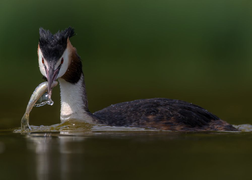 Photograph by Wendy Vanhoudt