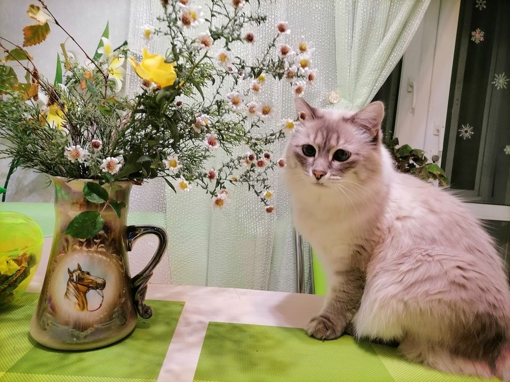 Photograph by Тамара Багровская