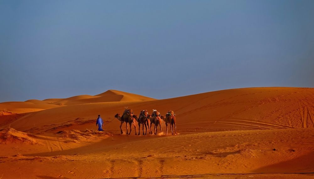 Photograph by Наталья Пирогова