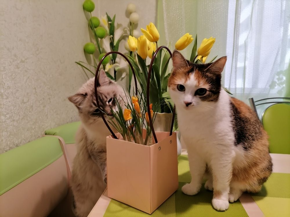 Photograph by Тамара Багровская