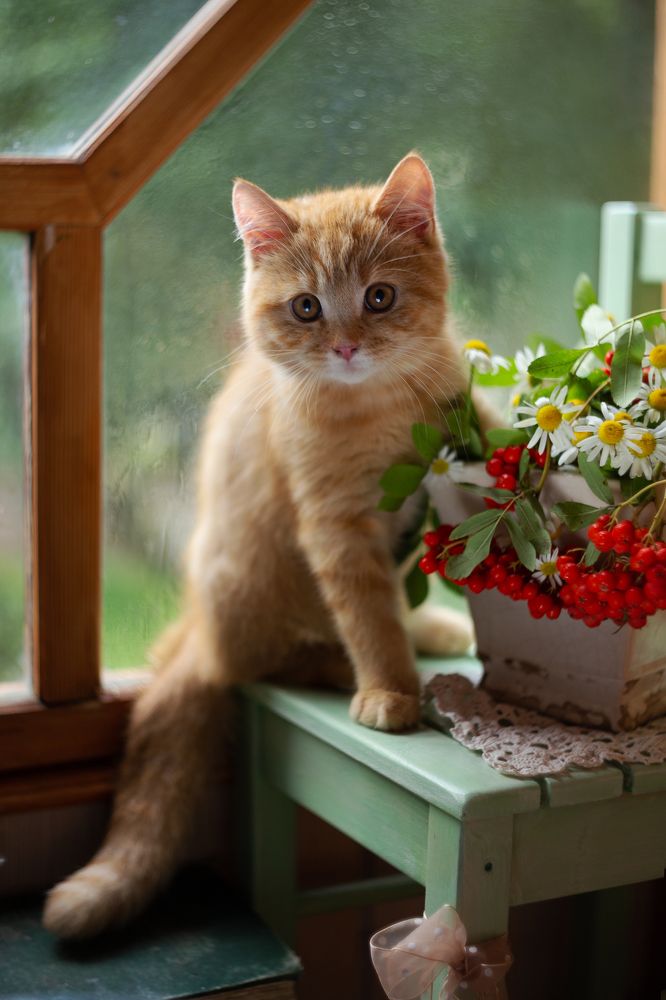 Photograph by ГОРЮКИНА ИРИНА