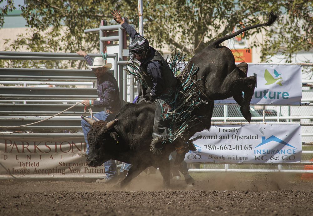 Фотография автора Кристина Данилюк