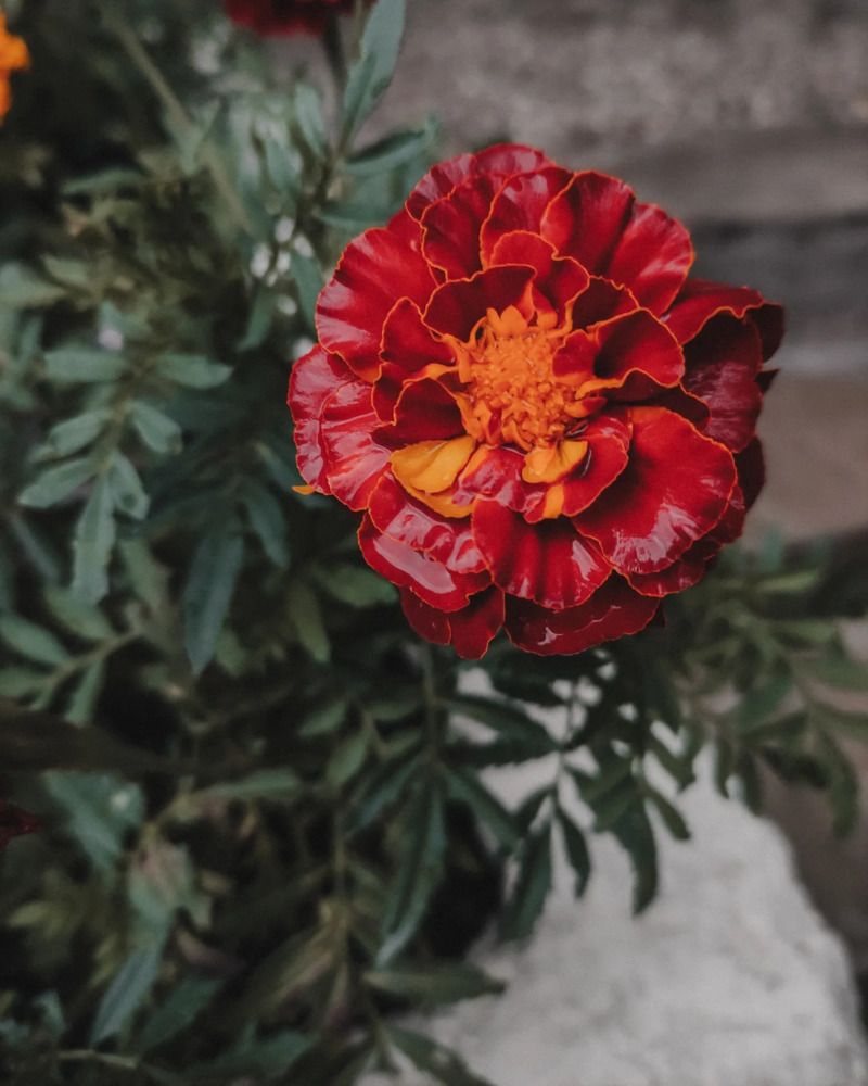 Photograph by Виктория Качан