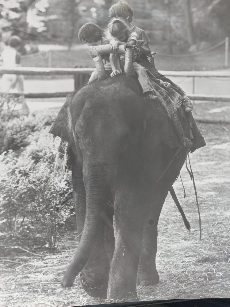 Photograph by Paul Bowers