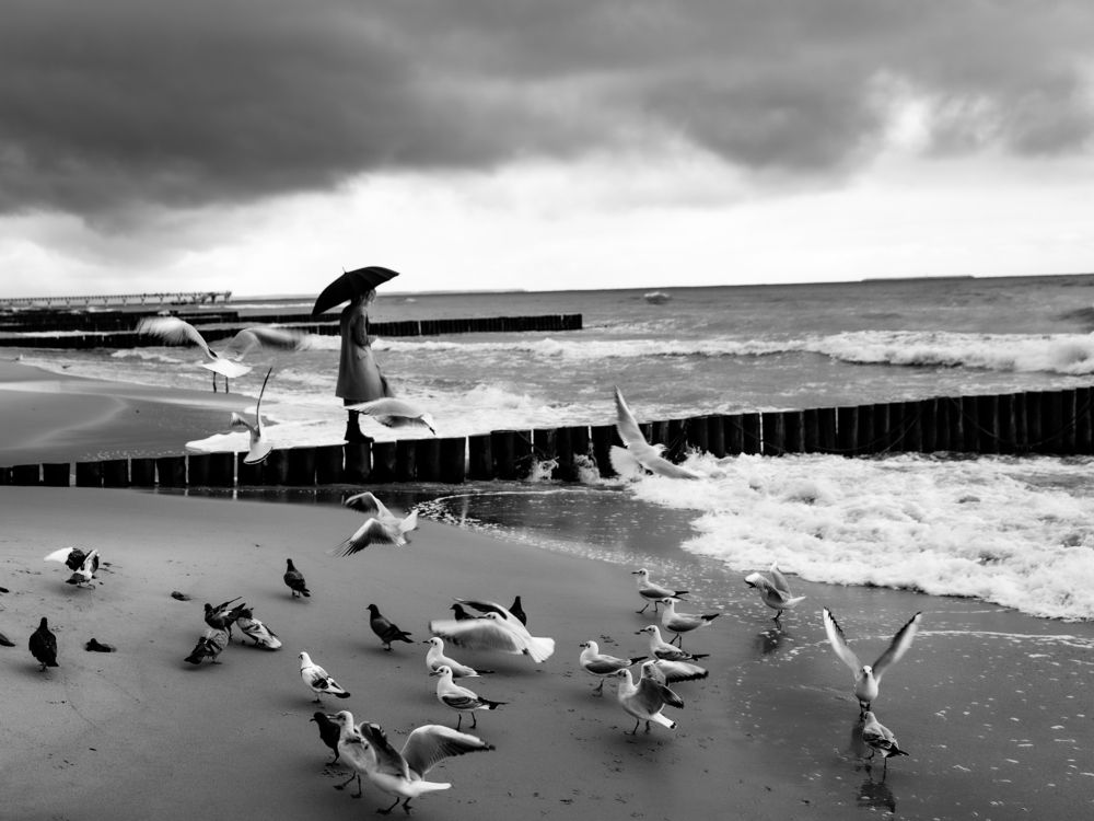 Photograph by Евгения Воеводина