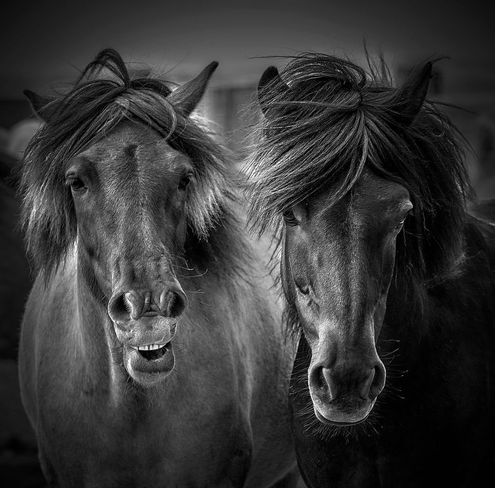 Photograph by Boris Bekelman