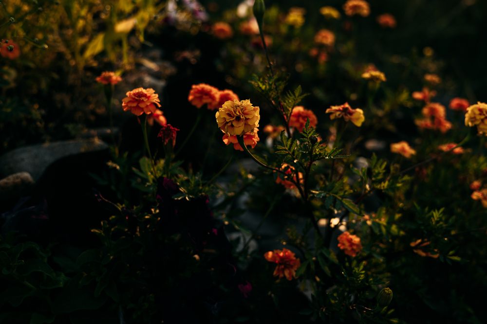 Photograph by Наталия Софич