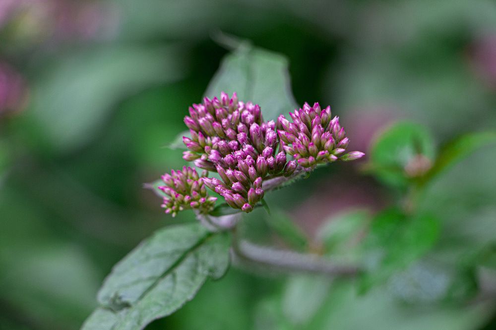 Photograph by mona gh