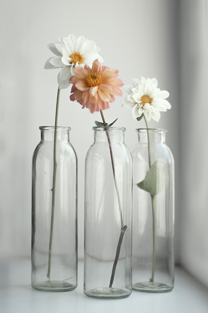 Photograph by Евгения Баширова