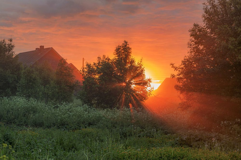 Photograph by Александр Литвинов