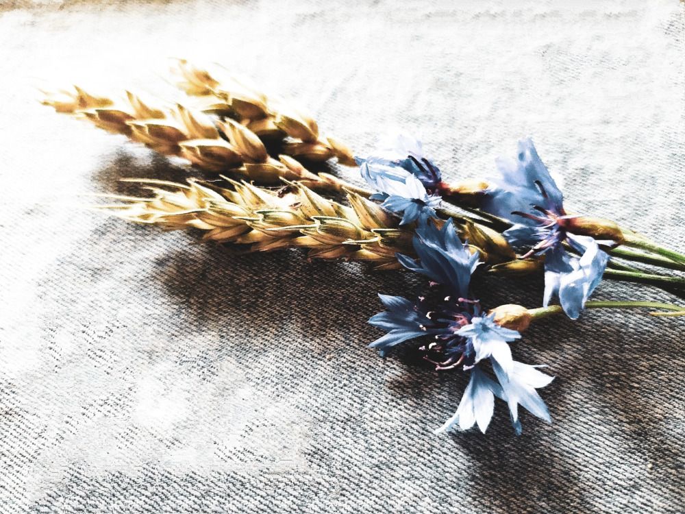 Photograph by Юлия Смирнова