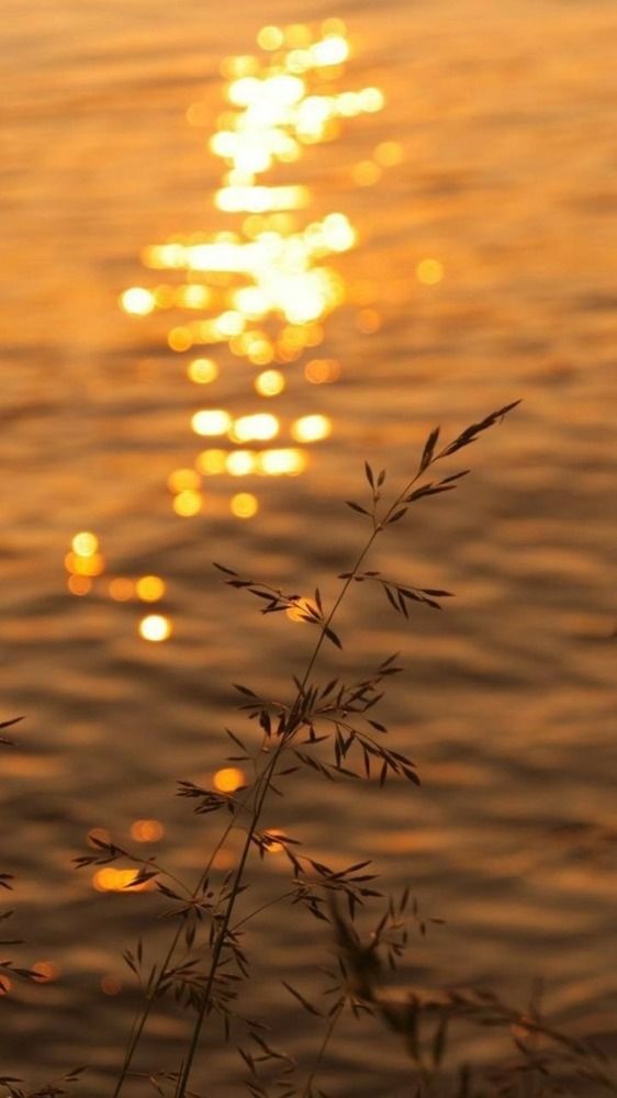 Photograph by Евгений Никонов