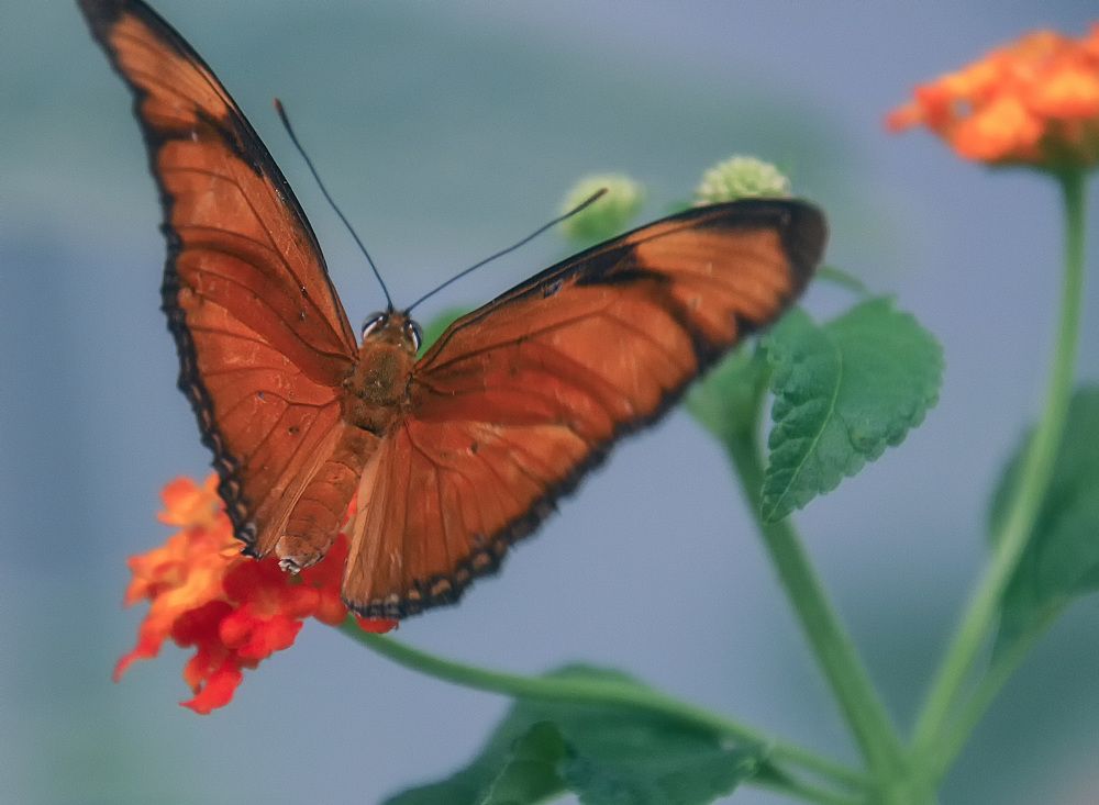 Фотография автора Александр