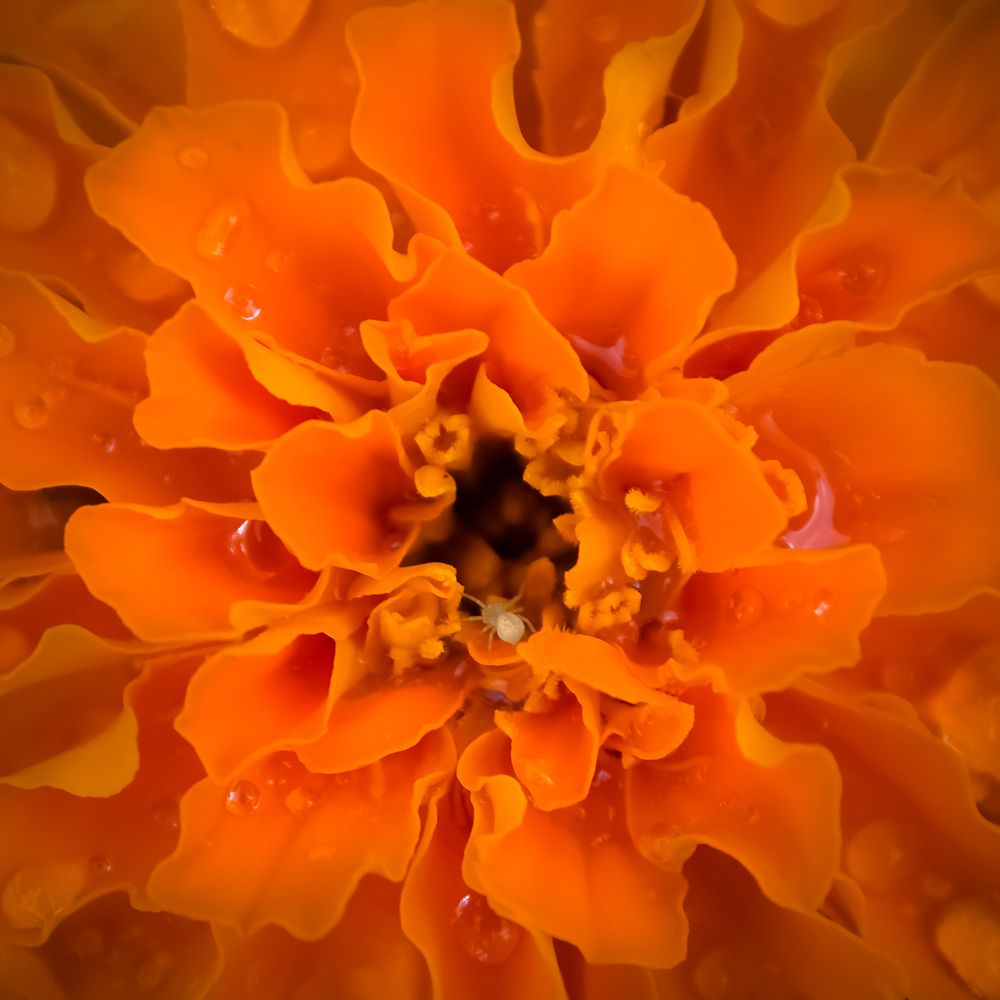 Photograph by Татьяна Романова