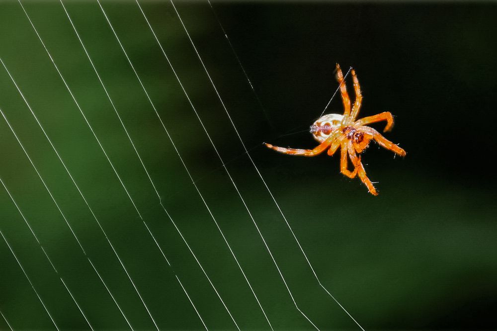 Photograph by Татьяна Романова