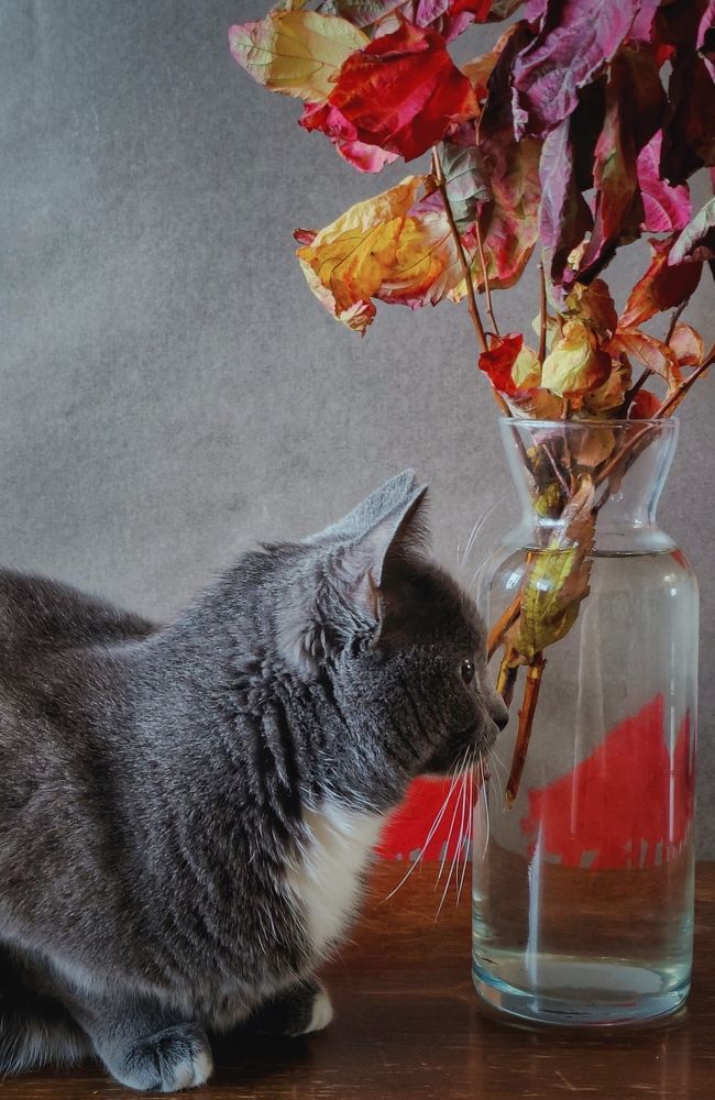 Photograph by Татьяна Гулакова