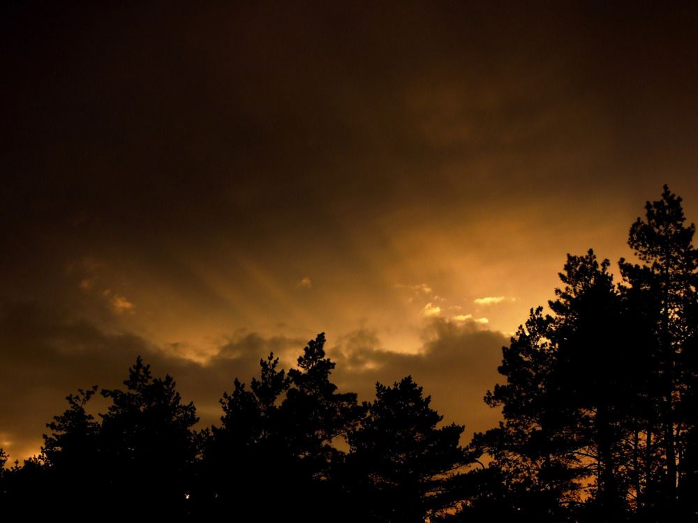 Photograph by Olga Александрова