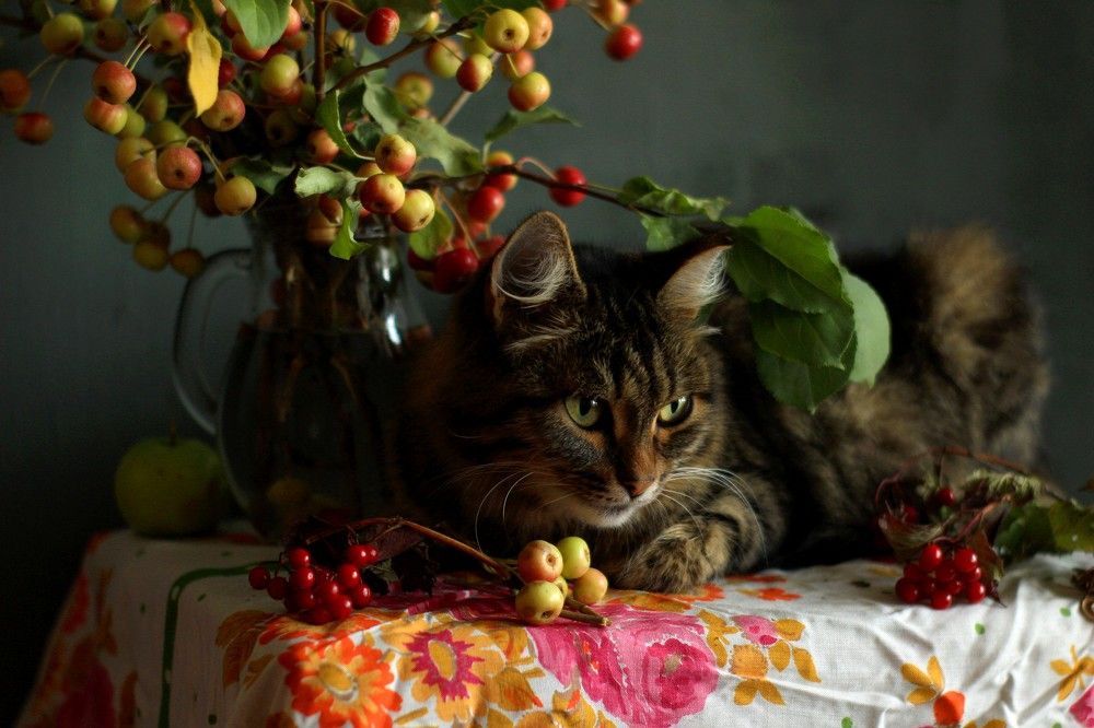 Photograph by Евсеева Валентина