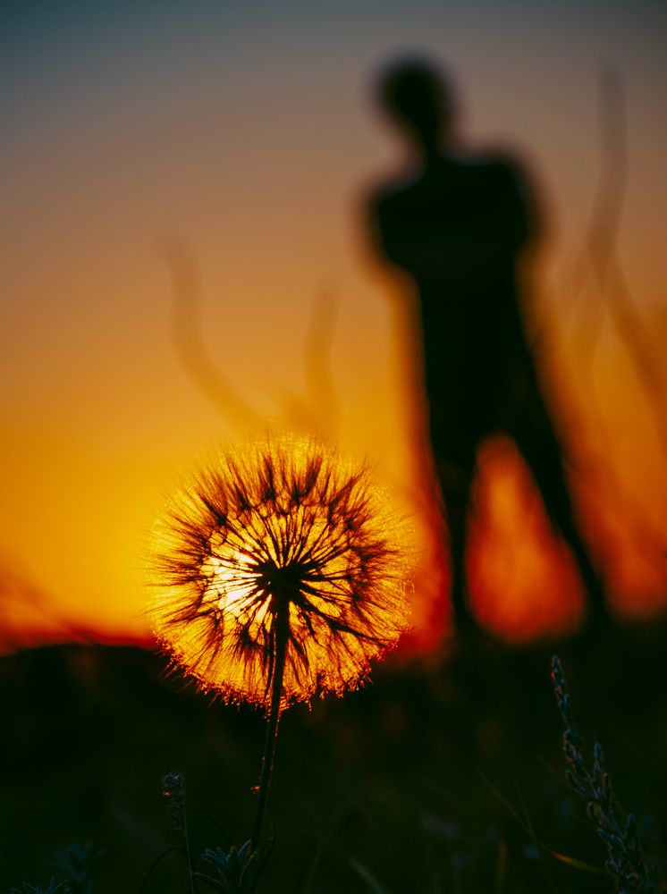 Photograph by Ольга Глущенко