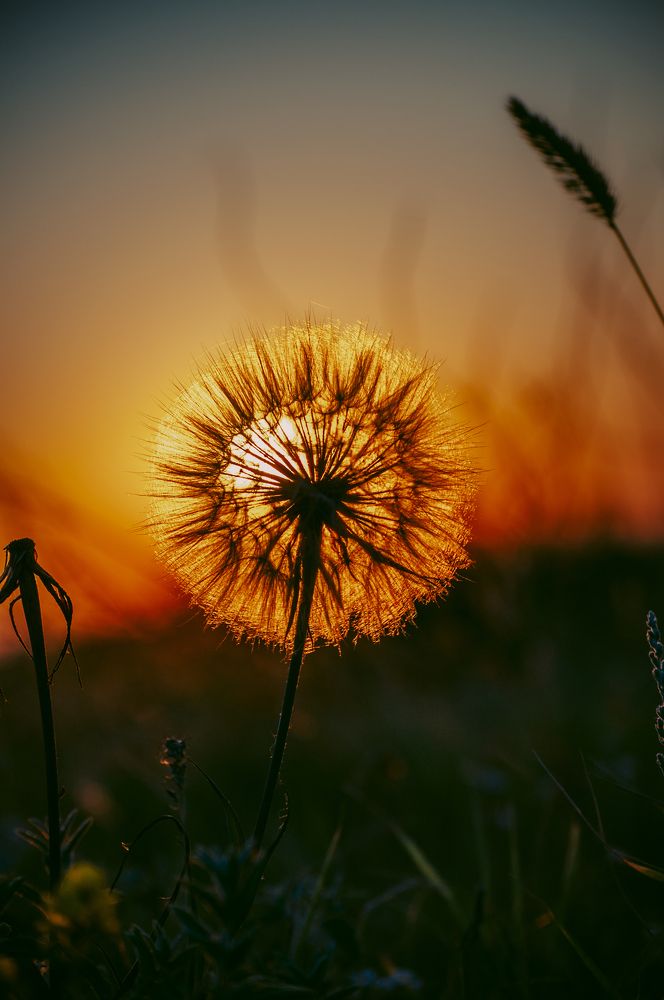 Photograph by Ольга Глущенко