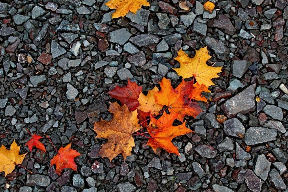 Яркая осень