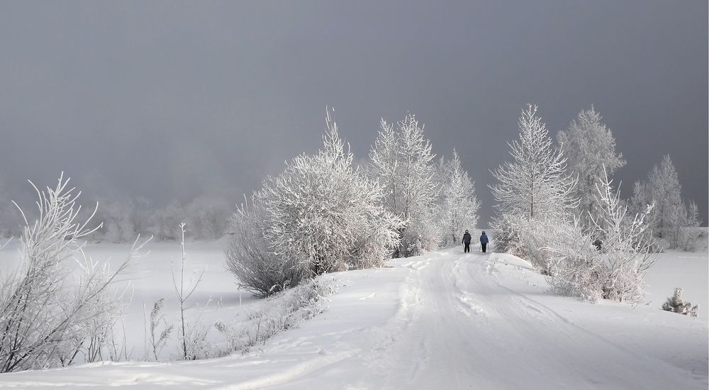 Photograph by Александр Попов